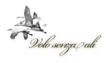 volo senz’ali – poesie di Pasquale Bellino